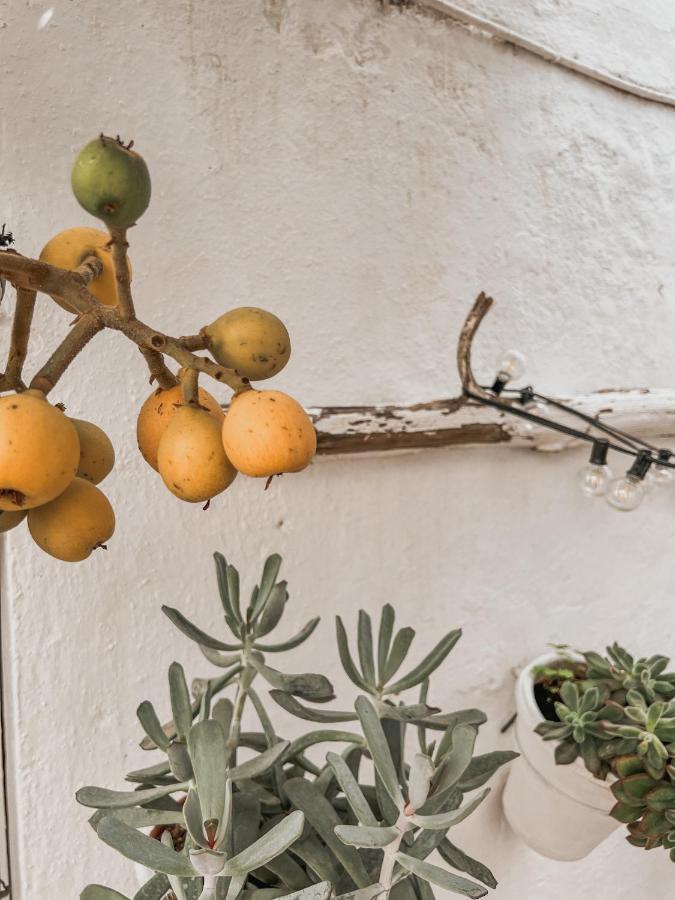 Apartamento C-Alma En El Corazon De Vejer Apartment Vejer de la Frontera Bagian luar foto